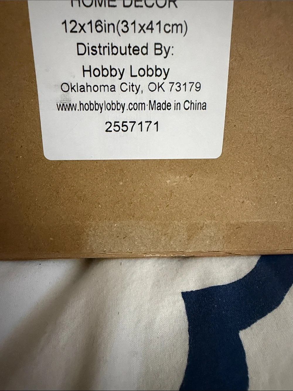 Hobby Lobby pair framed